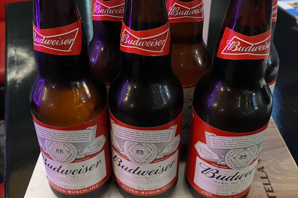 Budweiser (1 x 6 Pack)
