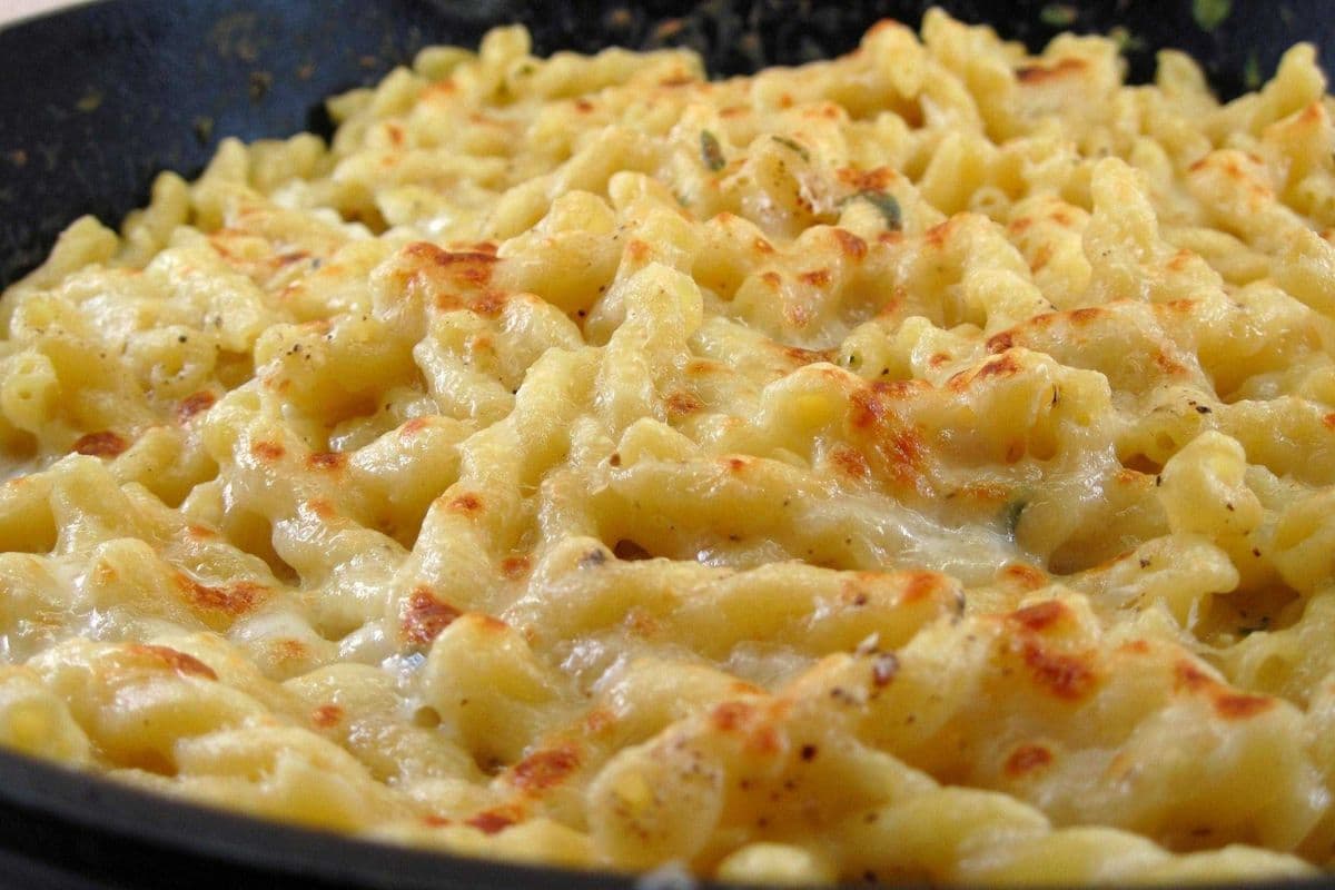 Creamy Mac and Cheese