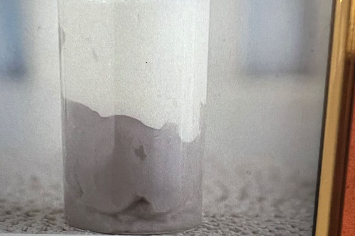 Taro Coconut Milk芋泥椰奶