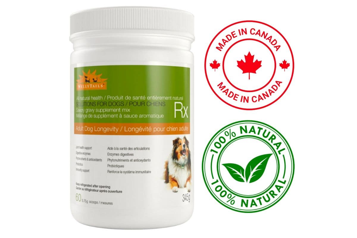 Wellytails - Adult Dog Longevity Rx Dog Supplement (345 g)