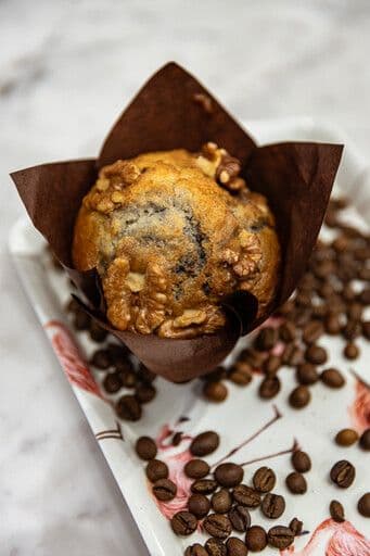 Muffin / Muffin of the Day