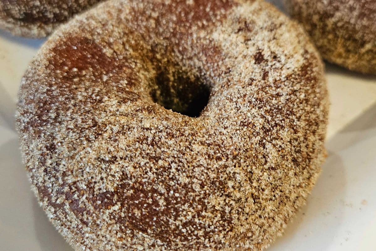 Cinnamon Sugar Donut