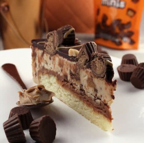 High End Bistro Reese Peanut Butter Blondie