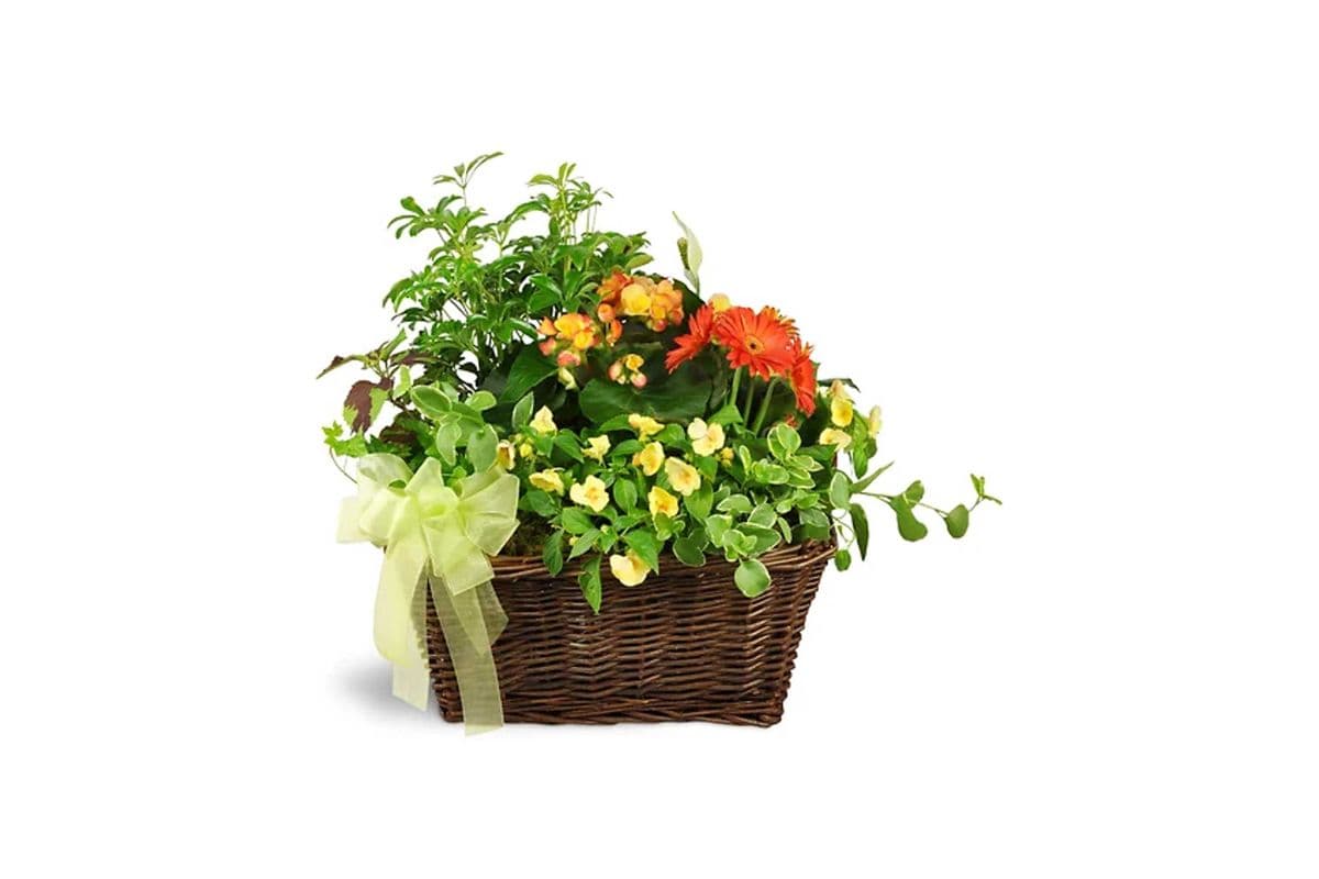 Springtime Sympathies Garden Basket