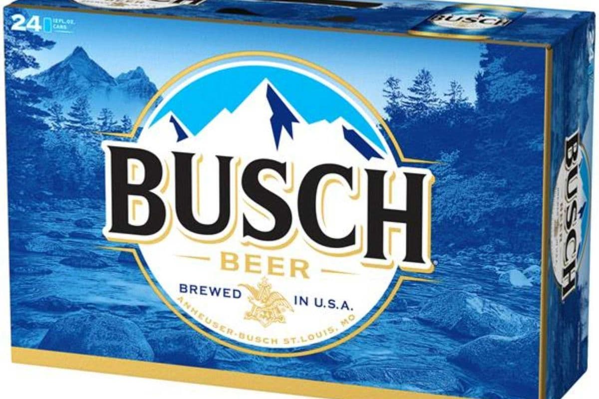 Busch (24 x 355 ml Can)
