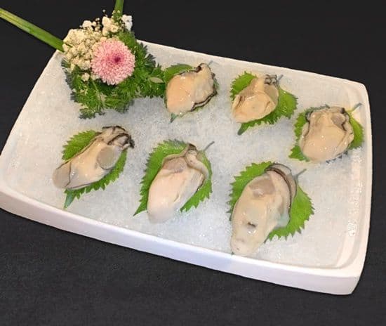 Oysters