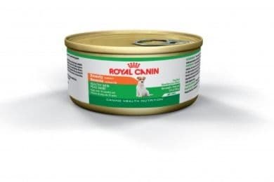 Royal Canin Conserve Chat Âgé + Pâté / Royal Canin Preserve Older Cat + Pâté (145 g)