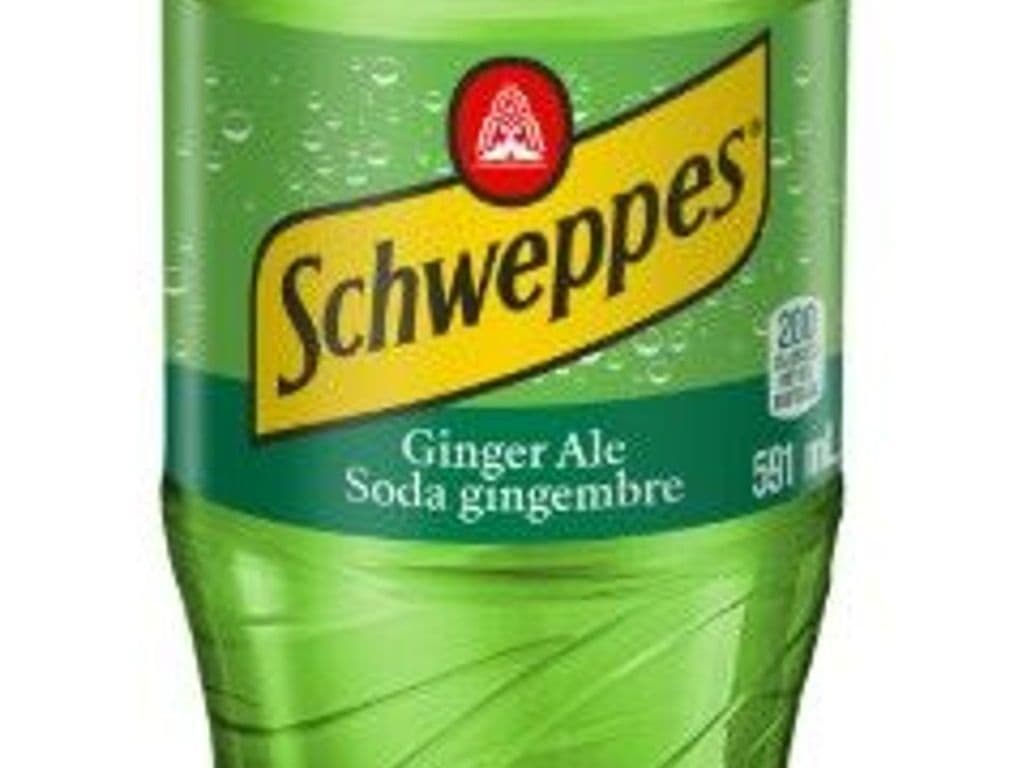 Soda au Gigembre / Gingerale