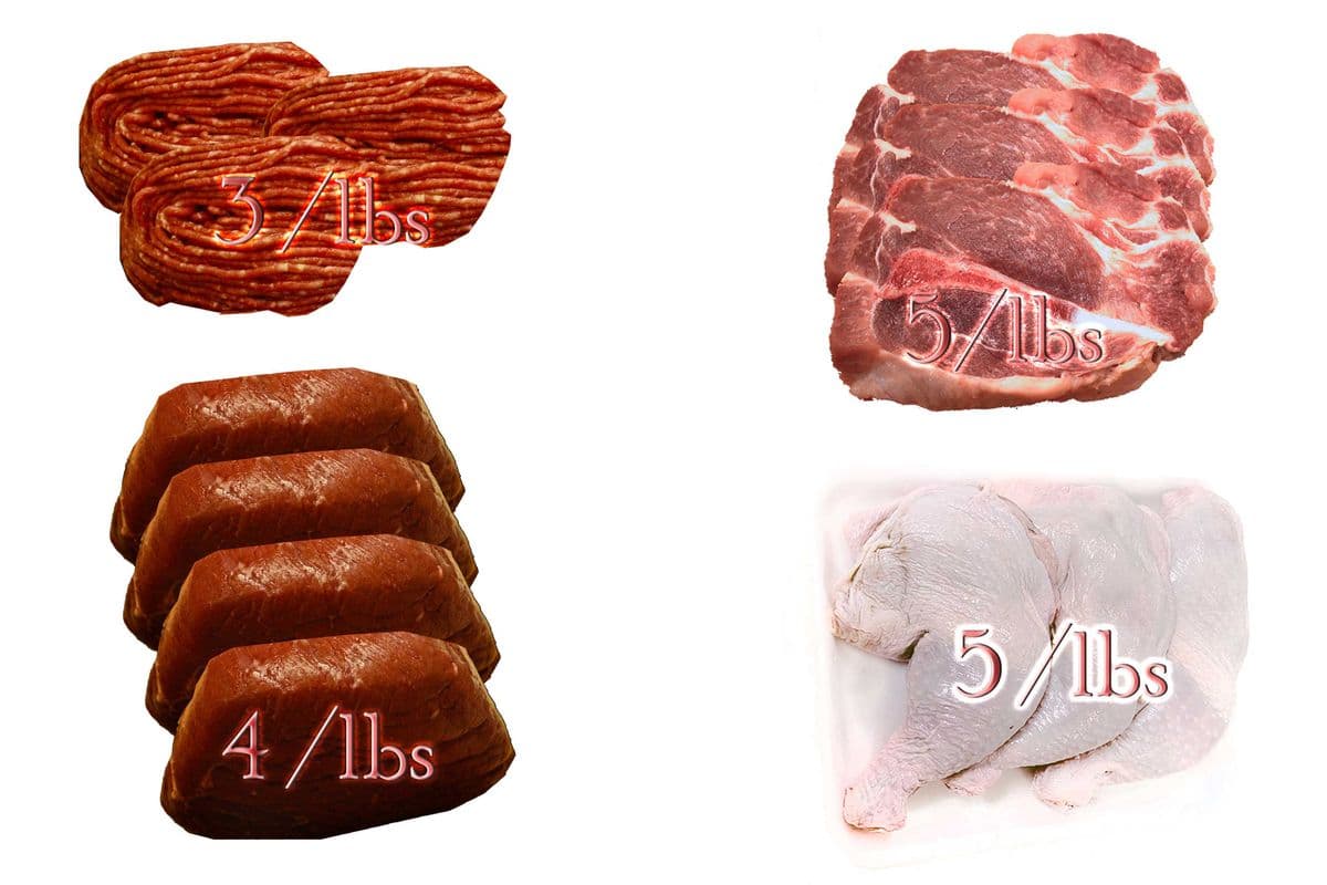 Frozen Meat Package #1