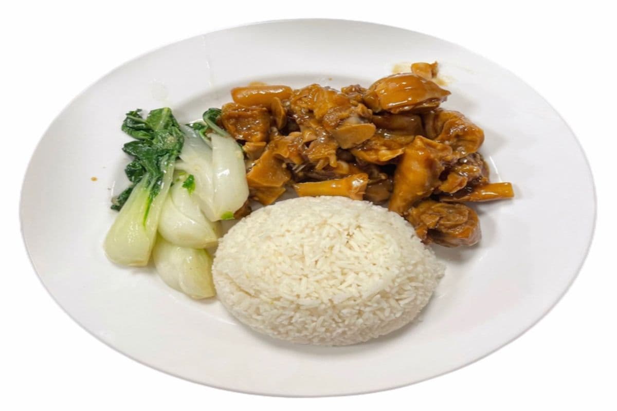 Braised Pork Trotter or Pork on Rice (猪蹄 or 卤肉碟头饭)