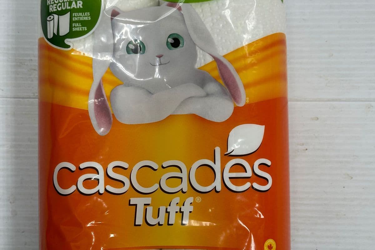 Cascades Tuff Paper Towel (2 pack)
