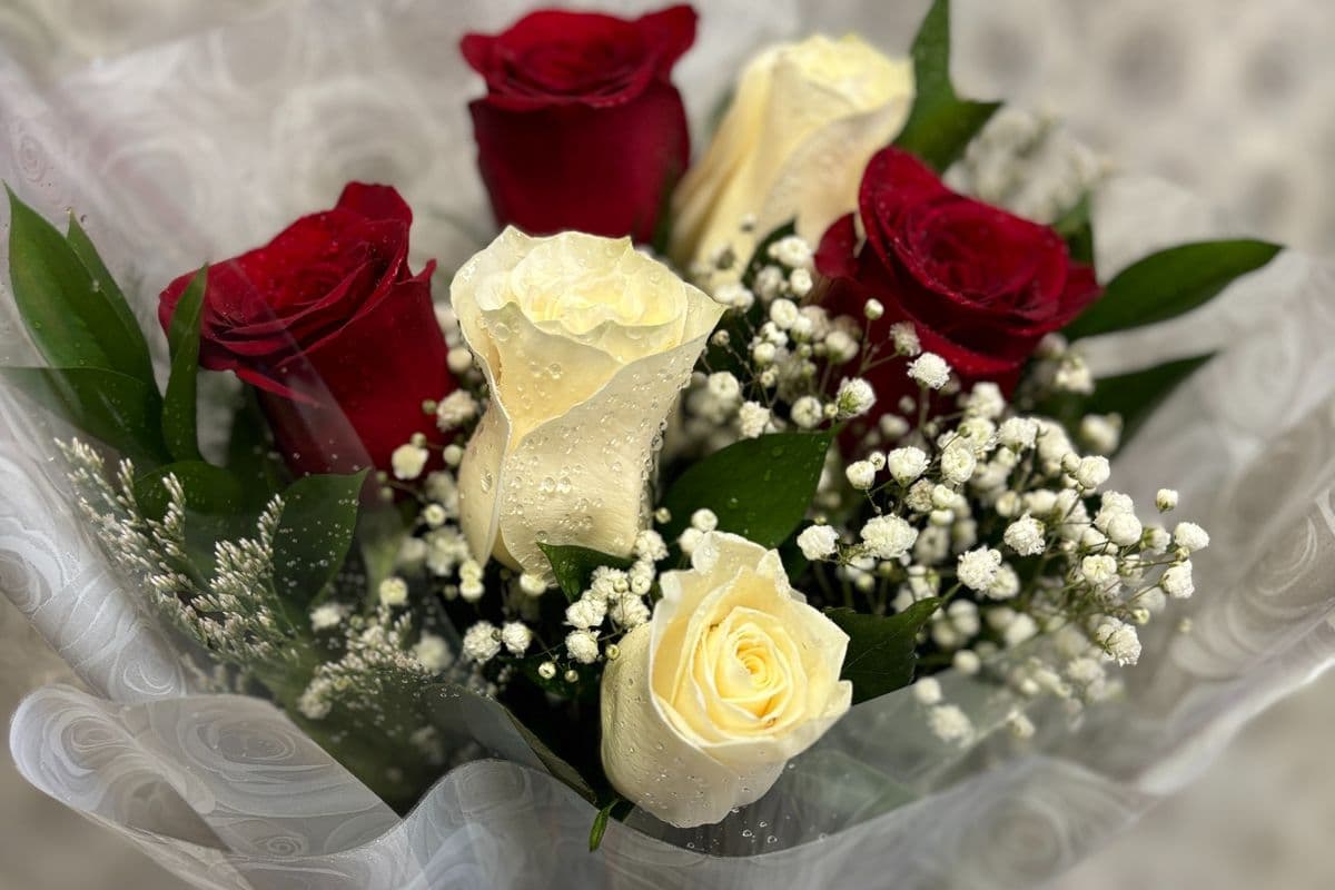 Mixed Long Stem Rose (Half Dozen)