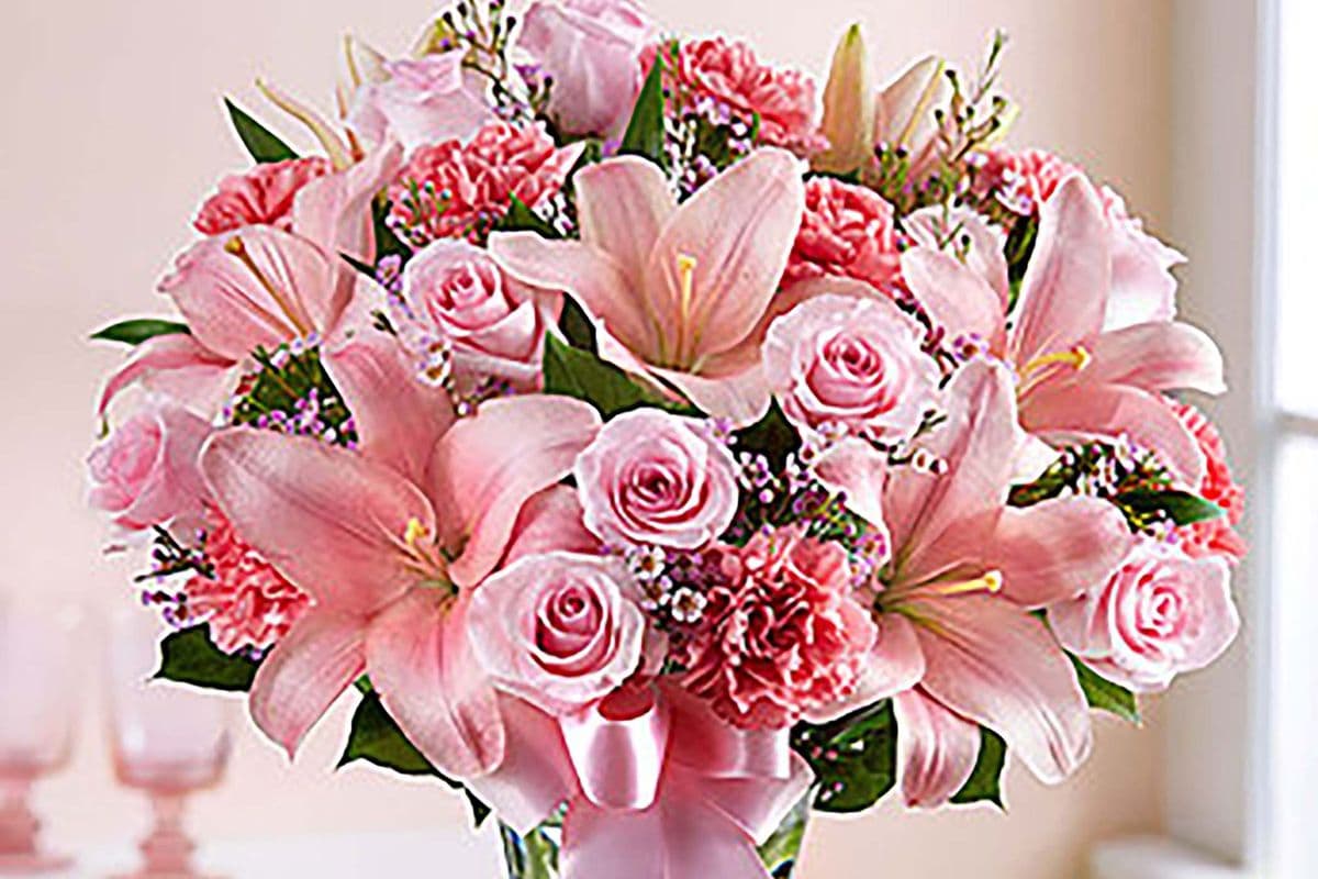 Spring Expressions Of Pink