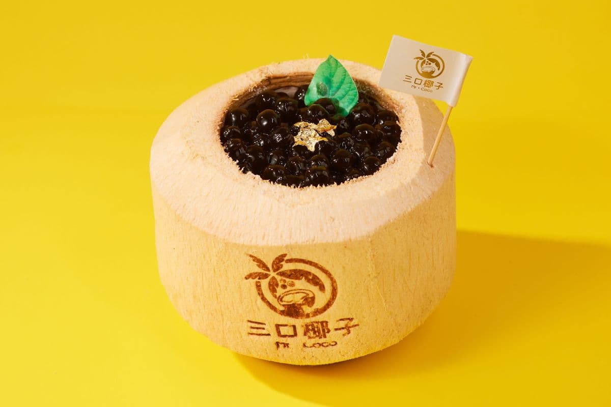 Coal Mind Coco 黑金曜椰子冻