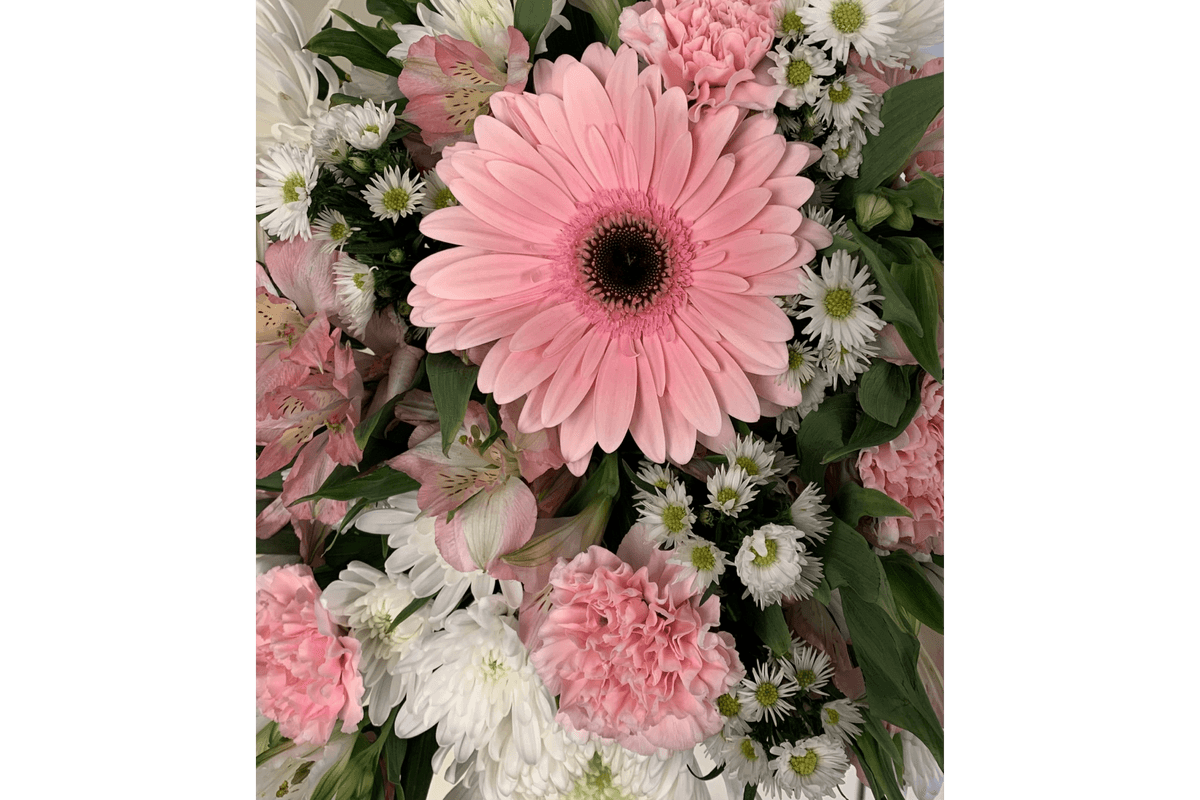 Pretty In Pink