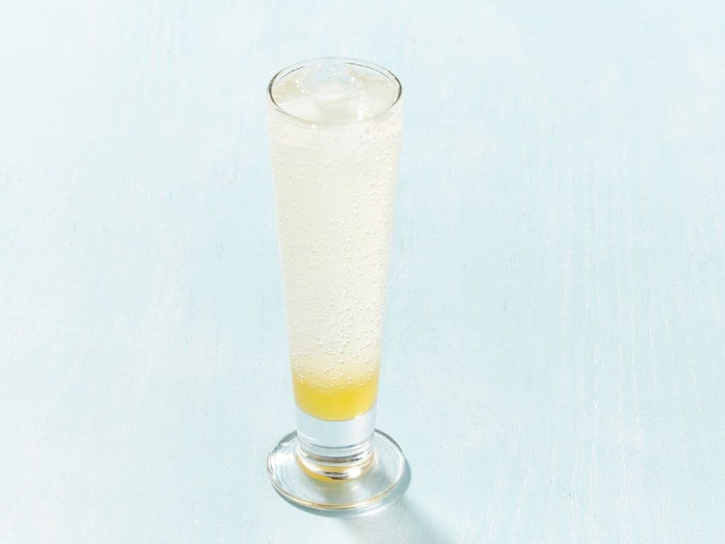 Passion Fruit Italian Soda