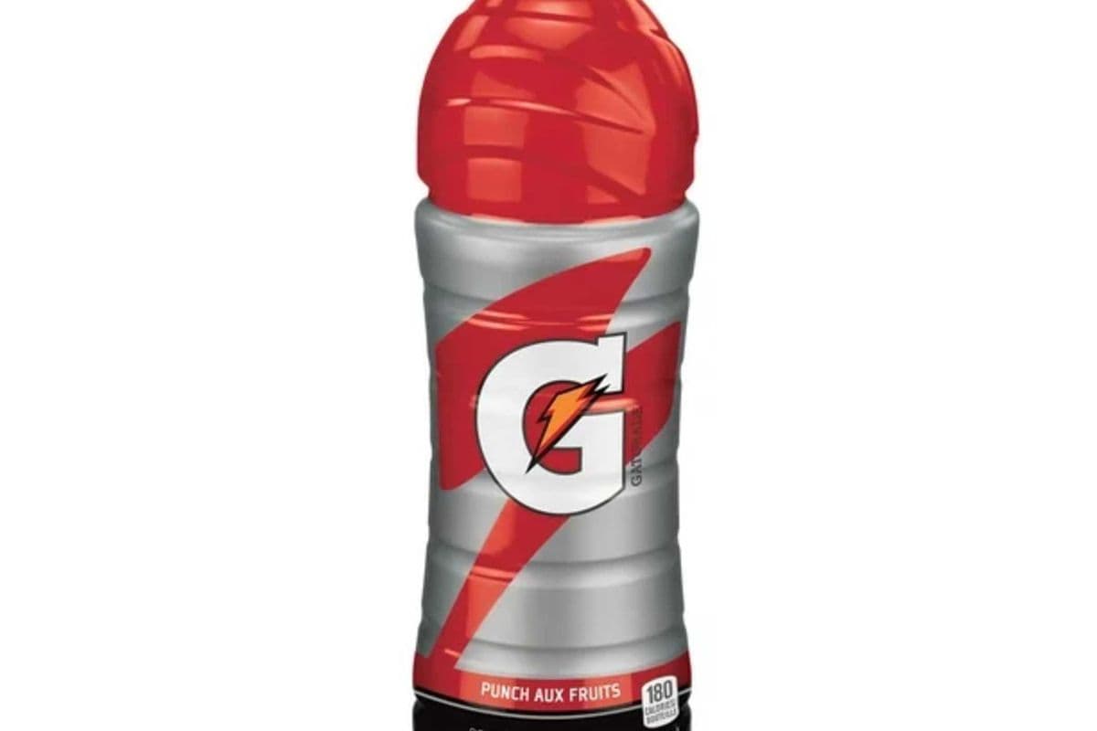 Gatorade Fruit Punch (710 ml)