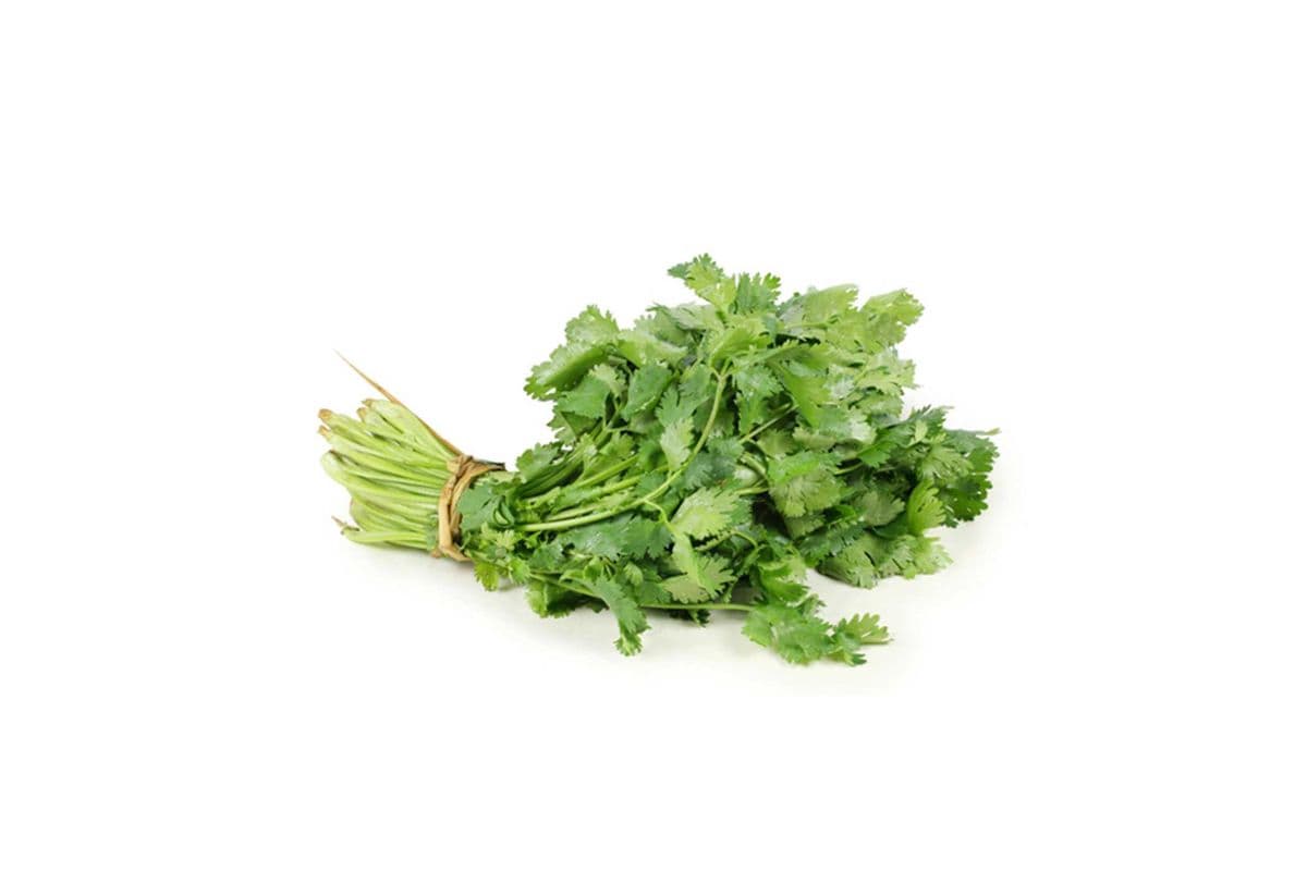 Cilantro (Each)
