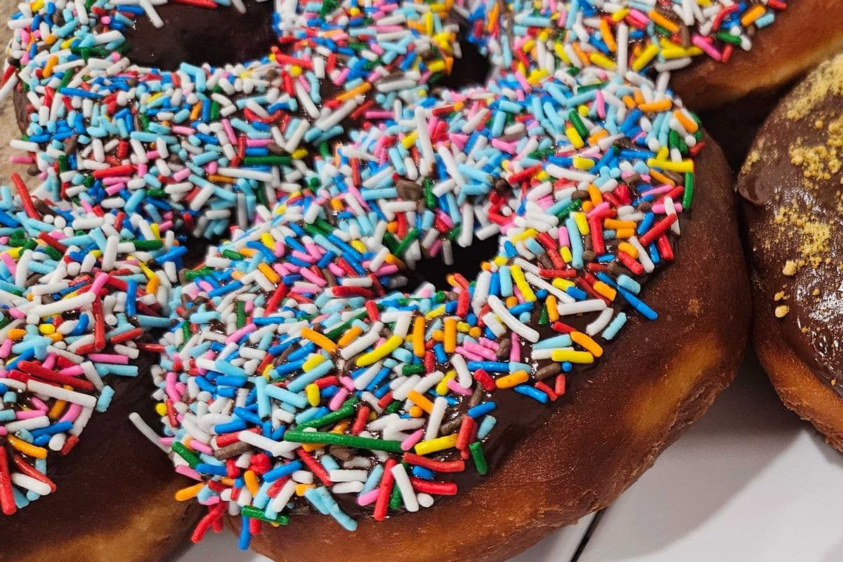 Sprinkle Donut