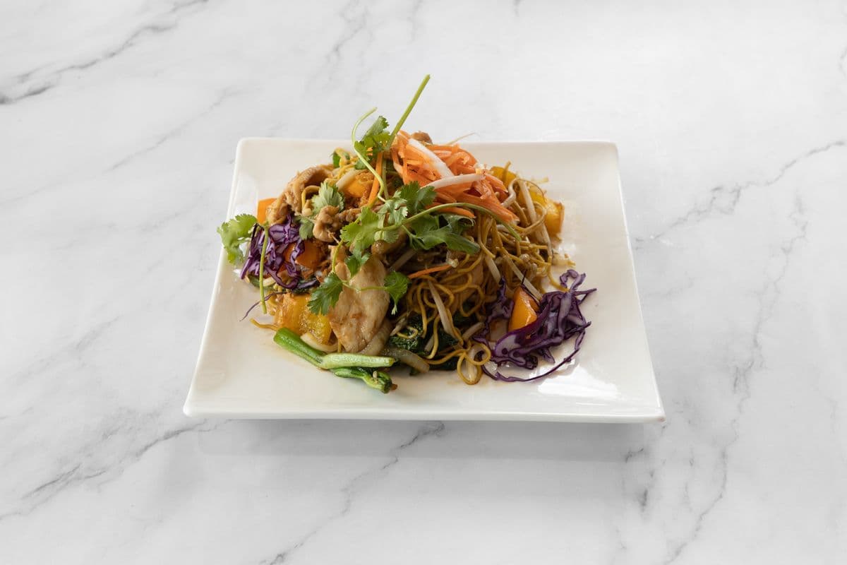 Nouilles sautées au poulet avec légumes / Chicken stir-fried noodles with vegetables