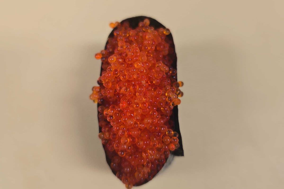 Tobiko
