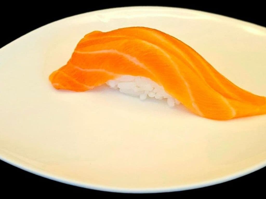 Salmon