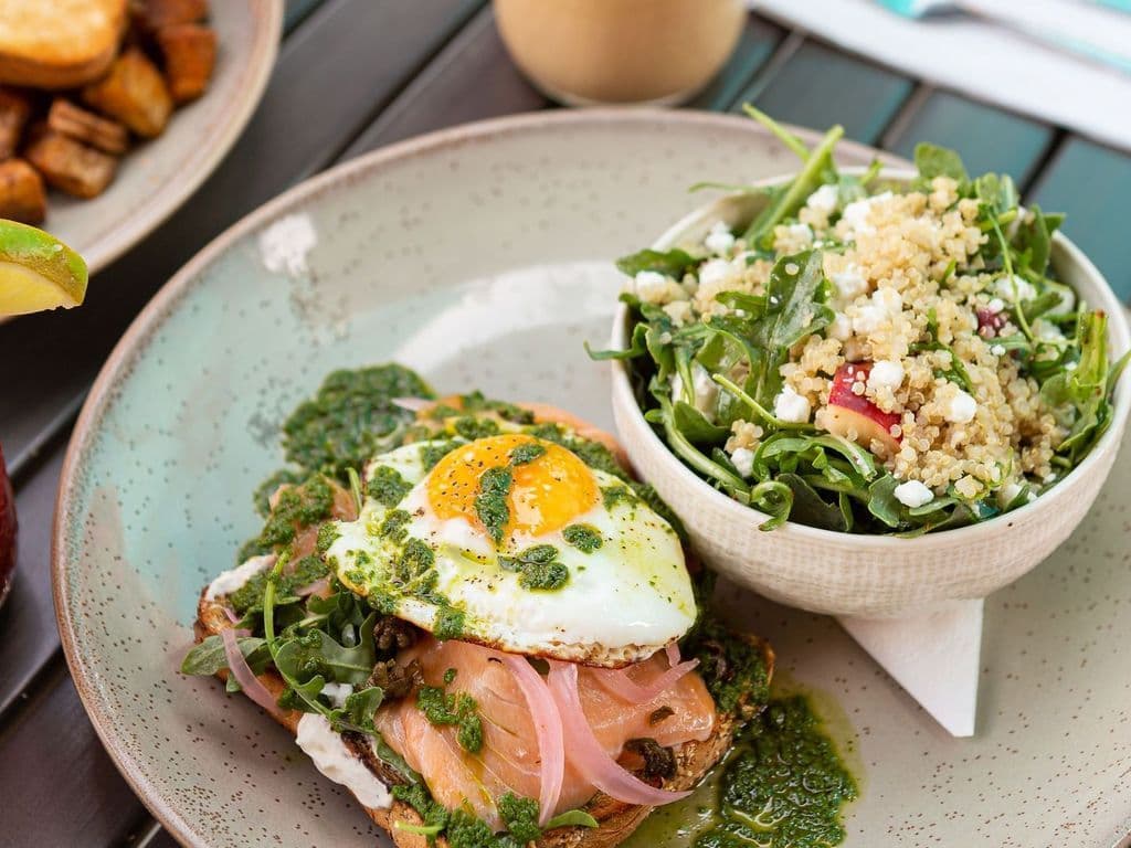 Salmon Sammy
