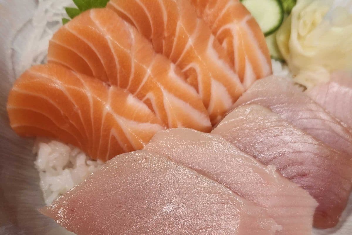 Tuna and Salmon Don
