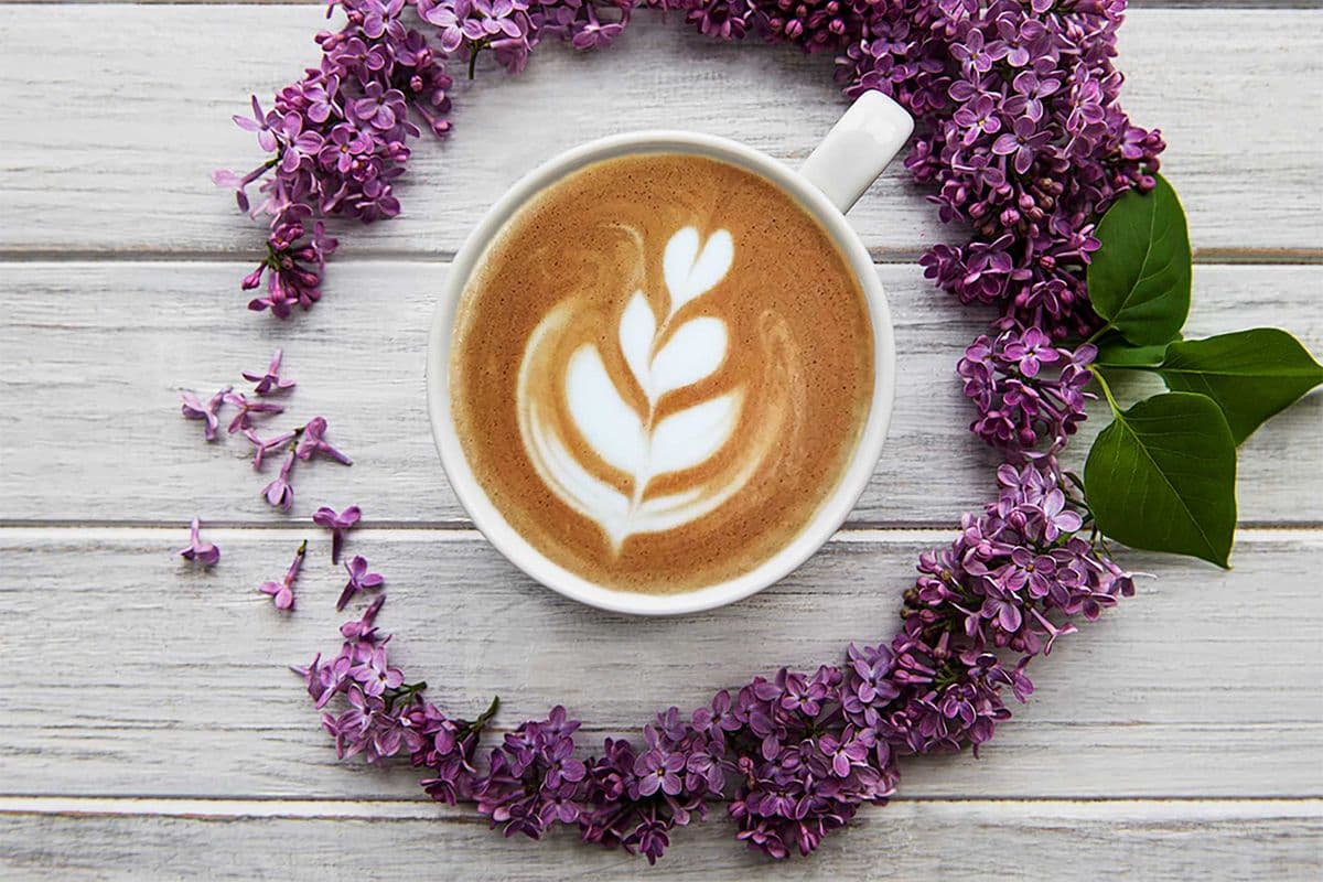 Lavender Latte