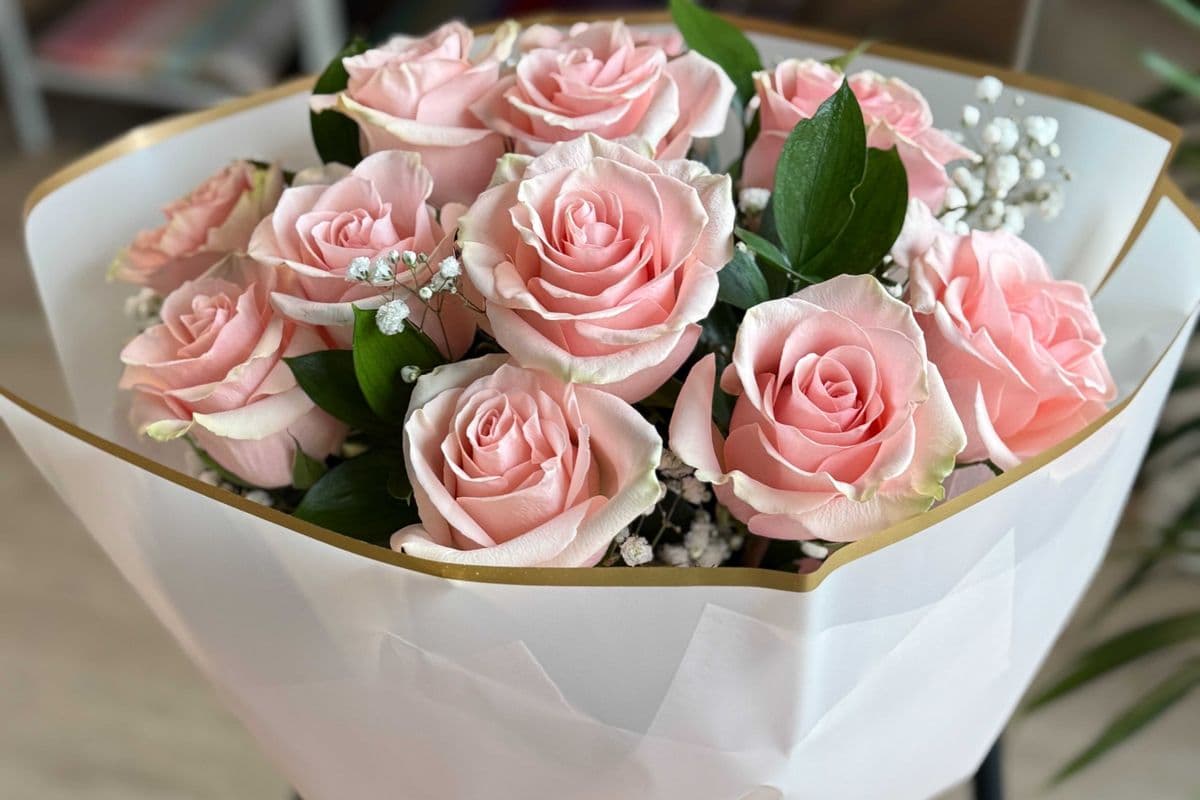 Blush Delight