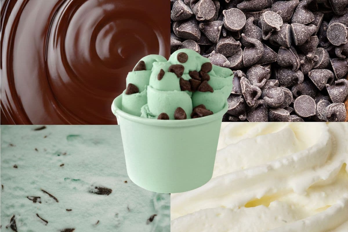 Mint Chip