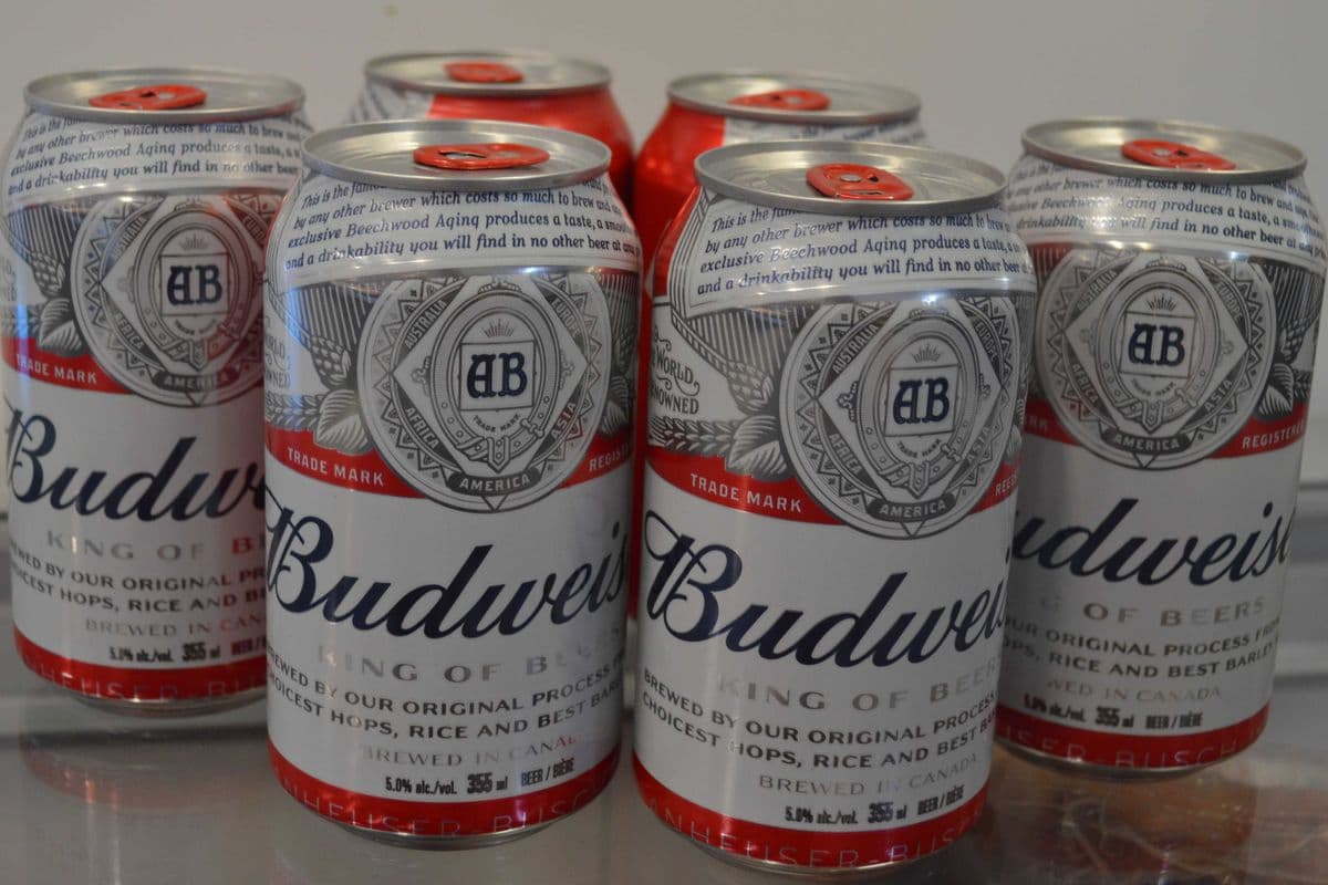 Budweiser (6 Cans) (1 x 355 ml)