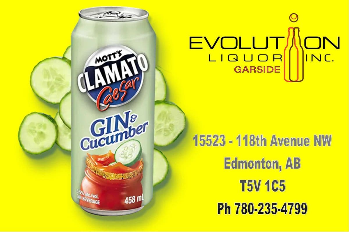 Mott's Clamato Caesar Cucumber Gin C458-01 (1 x 458 ml Can)