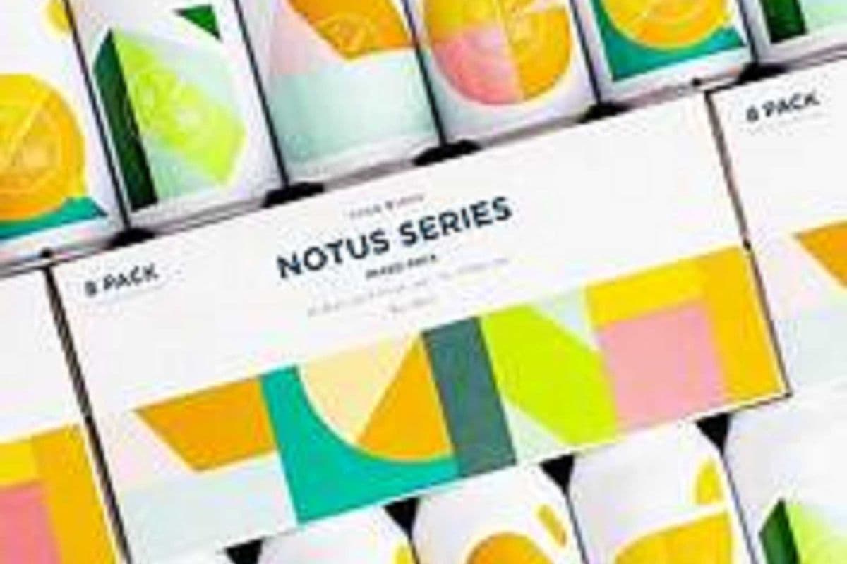 Fourwinds Notus Mixpack, 8 Cans (1 x 8 x 355 ml Cans)
