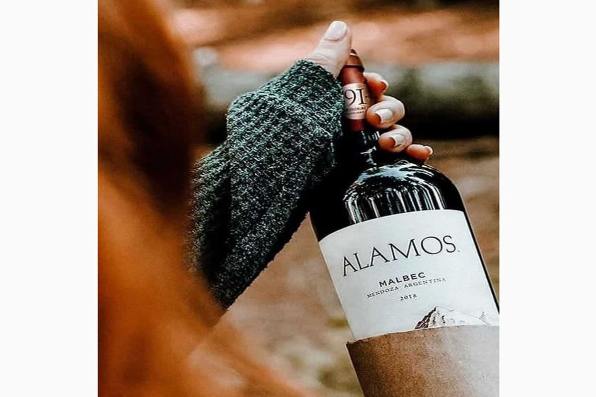 ALAMOS MALBEC (1 x 750 ML)