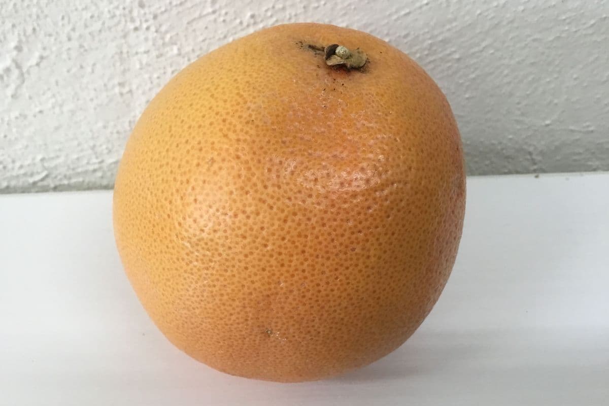 Grapefruit (Conventional) (Each)