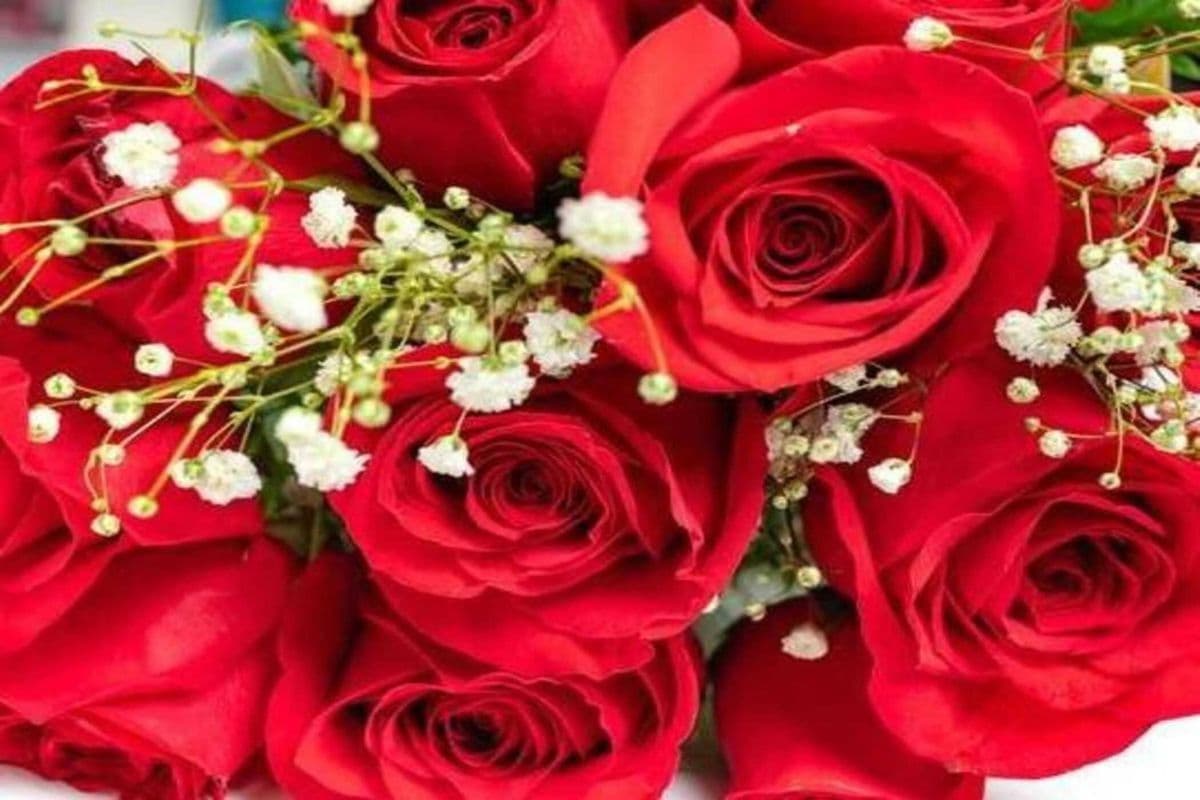 One Dozen Red Roses