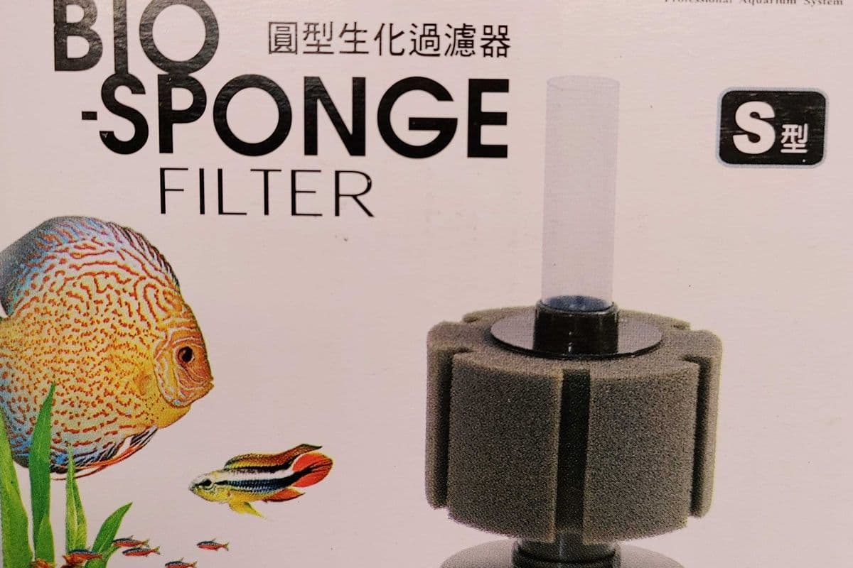 Small Round Sponge Filter (10 g)