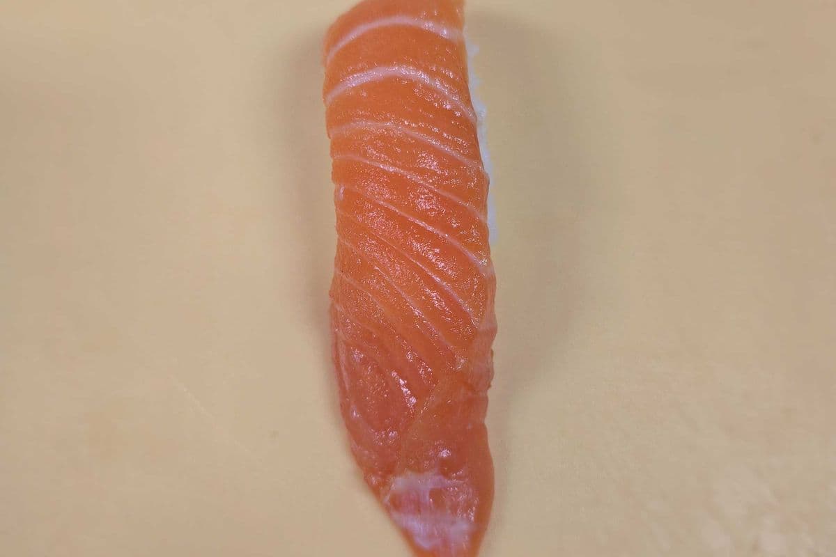 Salmon