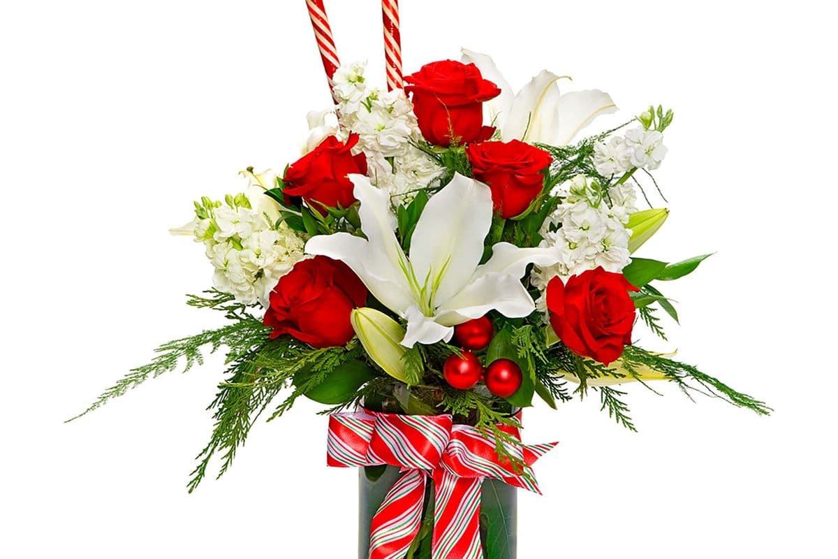 Candy Cane Joy