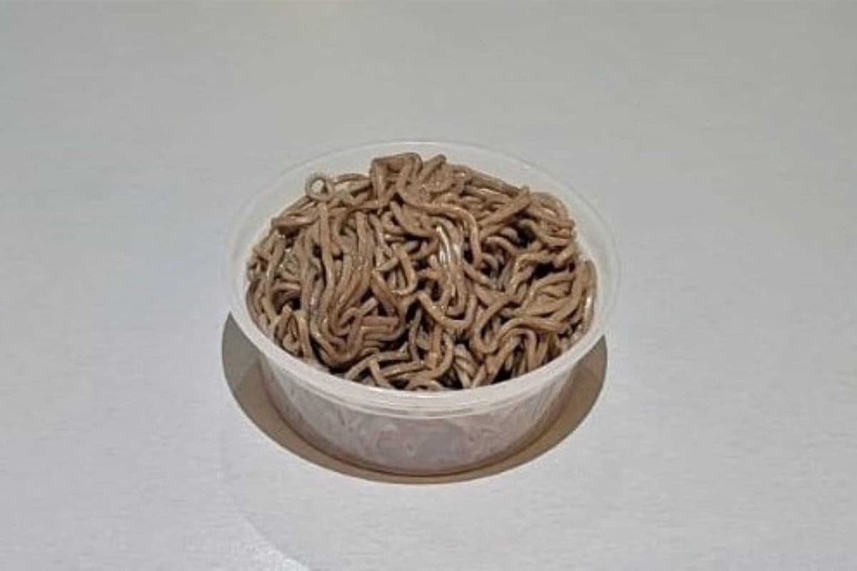 Soba Noodles (8 oz)