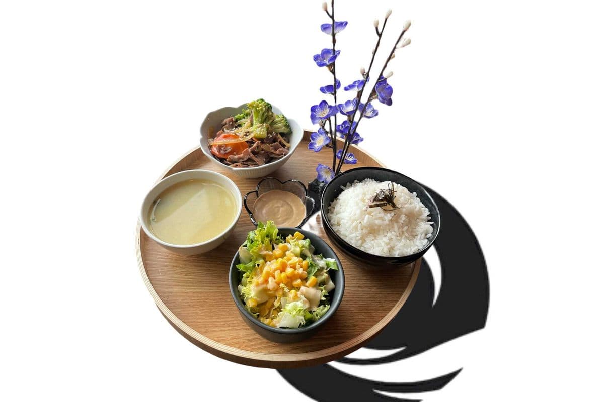 Teriyaki Beef Set