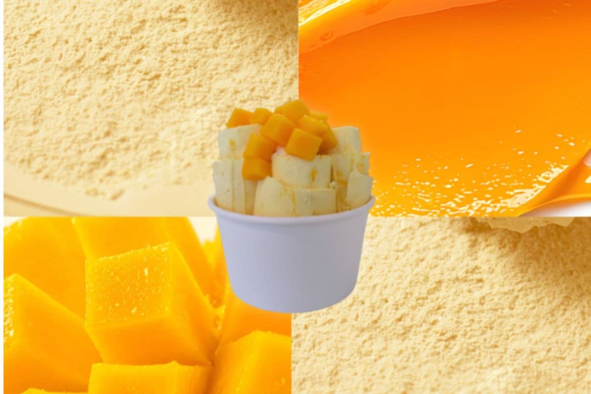 Mango Mania (12oz)
