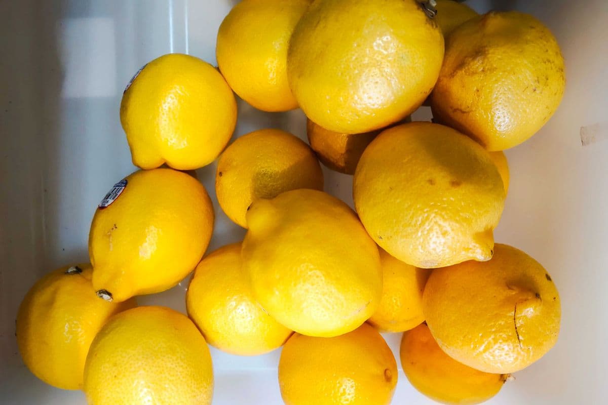 Lemons (Each )