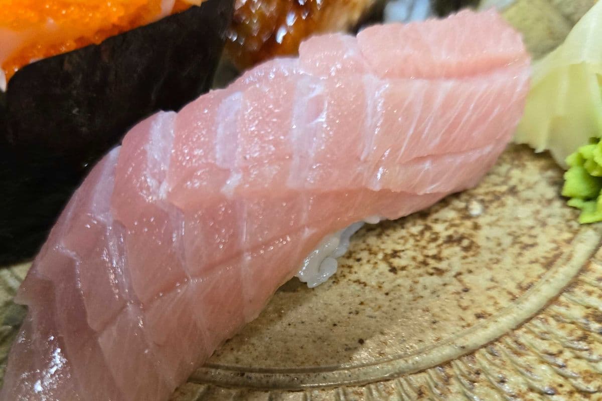 Toro (Tuna Belly) Nigiri Sushi