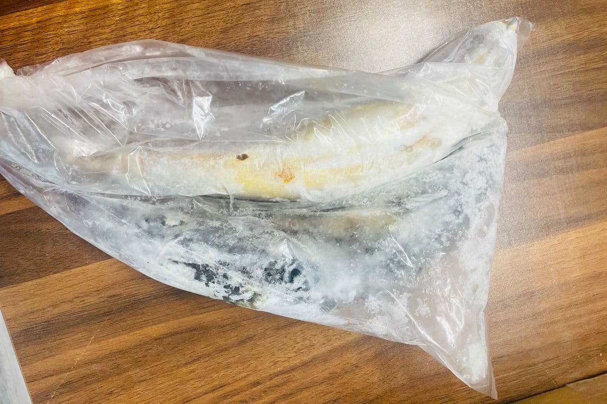 Mackerel Fish (2 pcs)