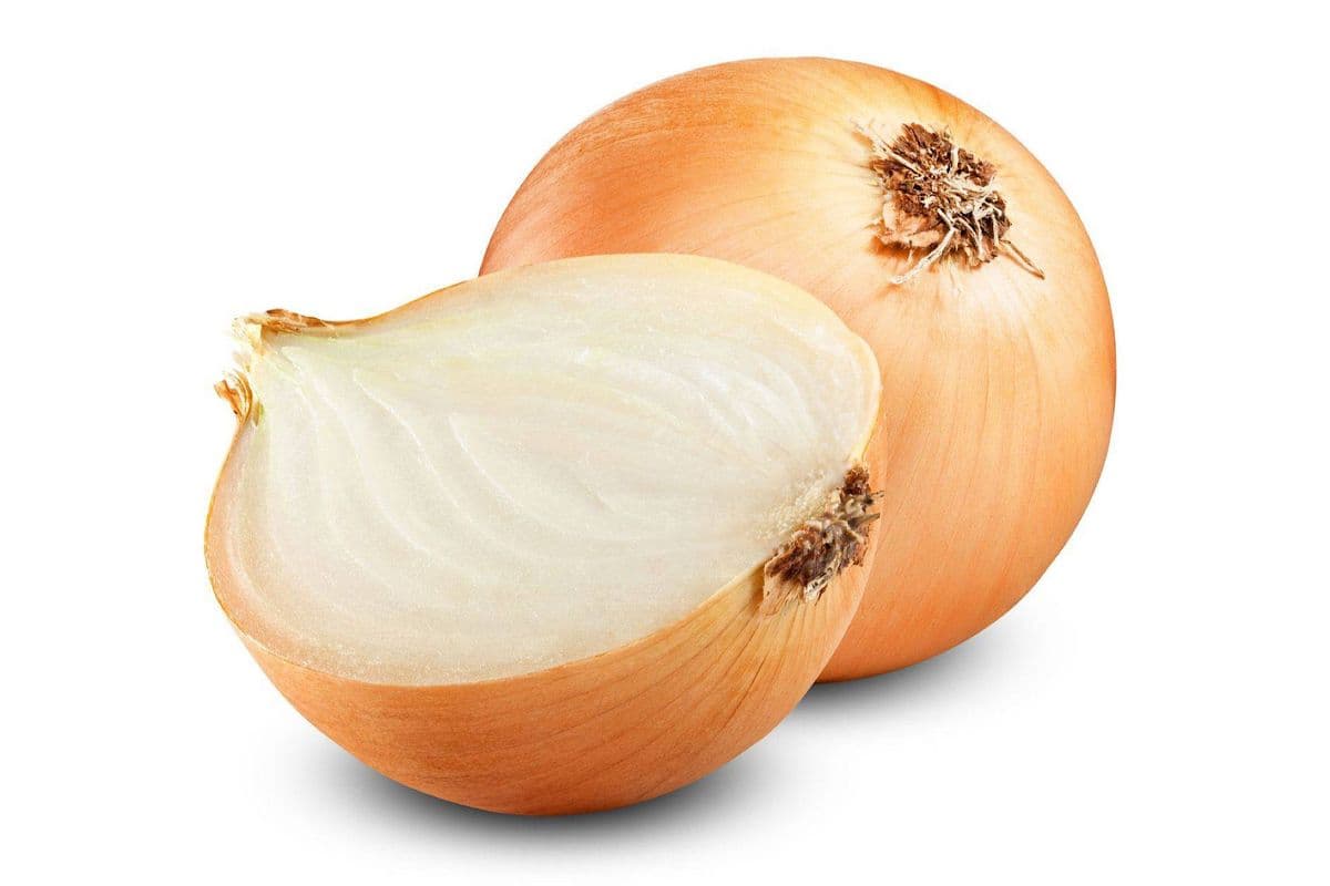 Deux Petits Oignons Jaunes / Two Small Yellow Onions