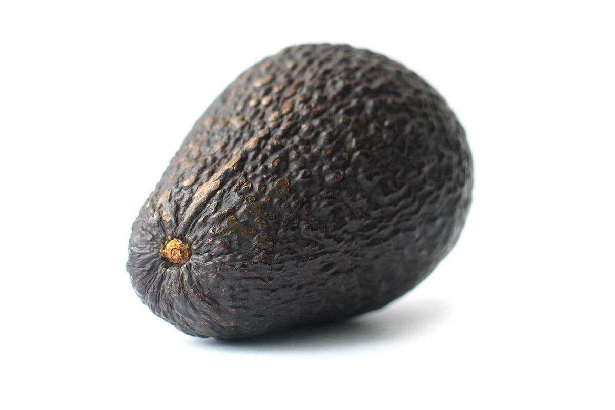 Avocado (Each)