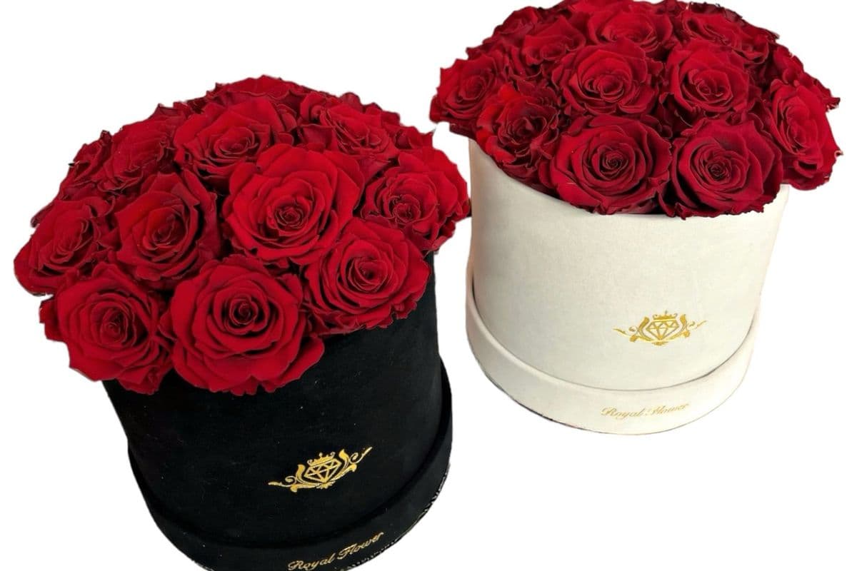 Fresh Cut Premium Roses Amethyst Velour – Roses last 10 days