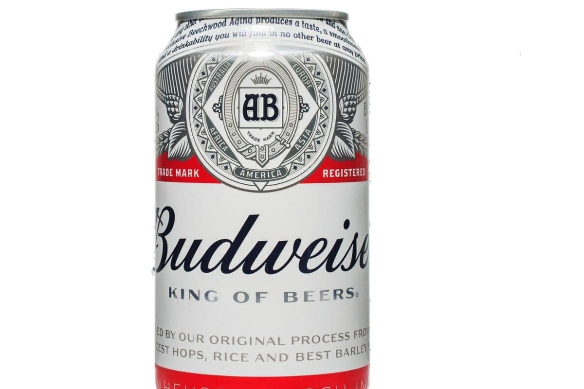 Budweiser (1 x 355 ml)